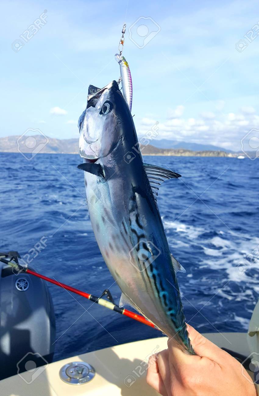 tuna fishing pole