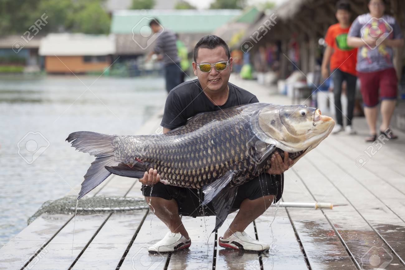 Bangkok Thaïlande 5 Septembre 2015 Pêcheur Tient Un Poisson Chat Géant Au Parc De Pêche Bungsamran à Bangkok En Thaïlande