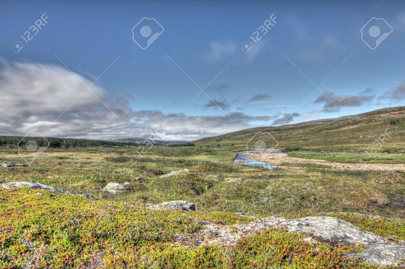 Beautiful Tundra Landscape In Northern Norway At Summer Stock Photo,  Picture and Royalty Free Image. Image 28279893.