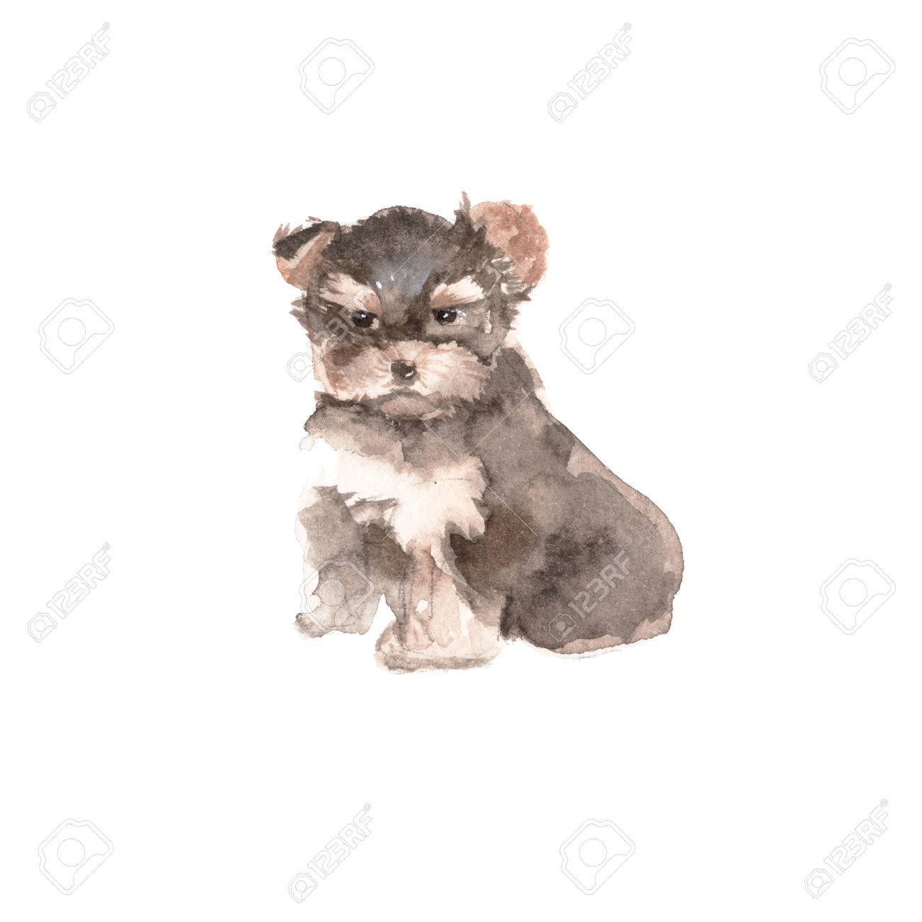 dog muzzle for yorkie