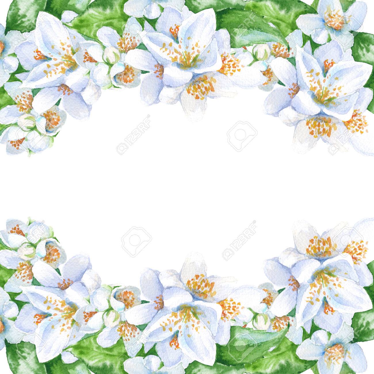 frame with jasmine flowers