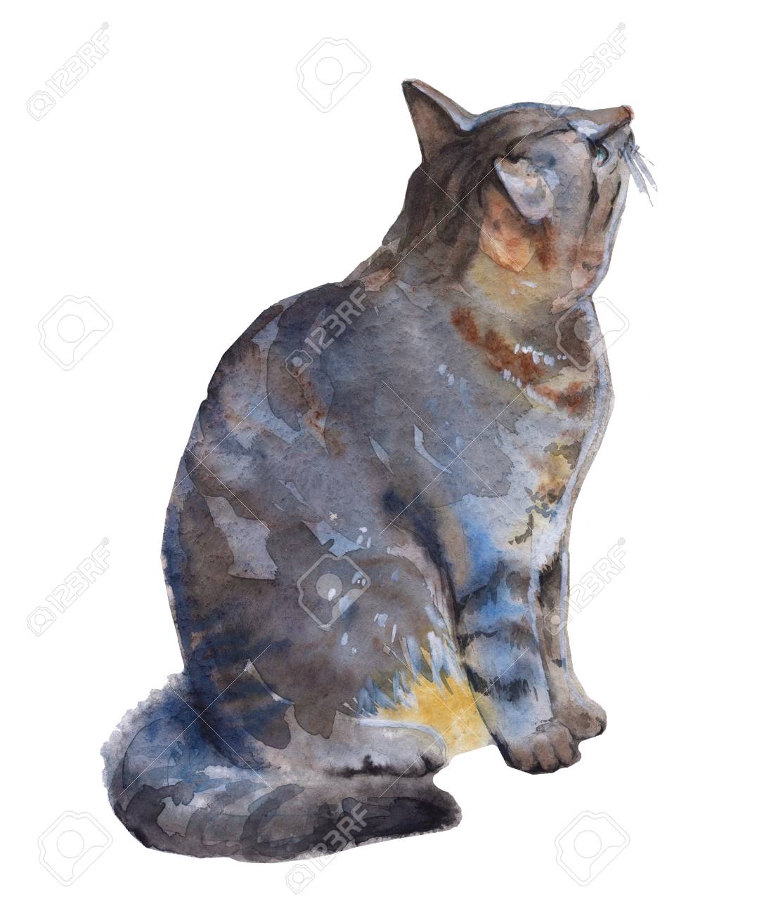 水彩画 アート 猫の絵