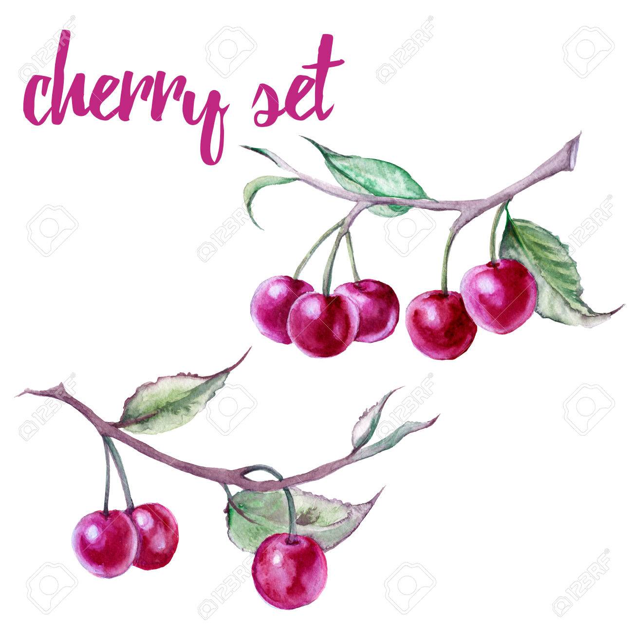 さくらんぼを設定します 白い背景上に分離 水彩イラスト の写真素材 画像素材 Image