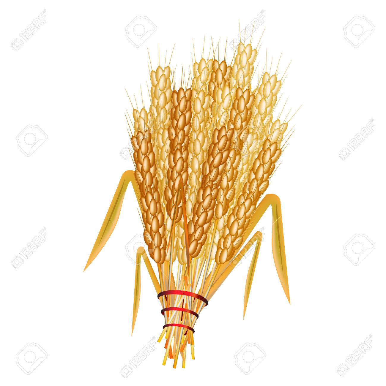 小麦の束の図のイラスト素材 ベクタ Image 小麦の束の図のイラスト素材 ベクタ Image