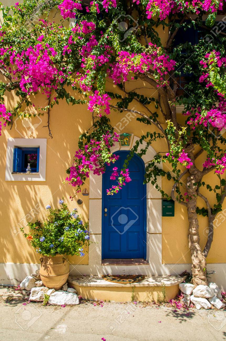 アソス ケファロニア島 ギリシャの花で伝統的なギリシャの家 青い扉と青い窓の赤紫色の花に囲まれています の写真素材 画像素材 Image