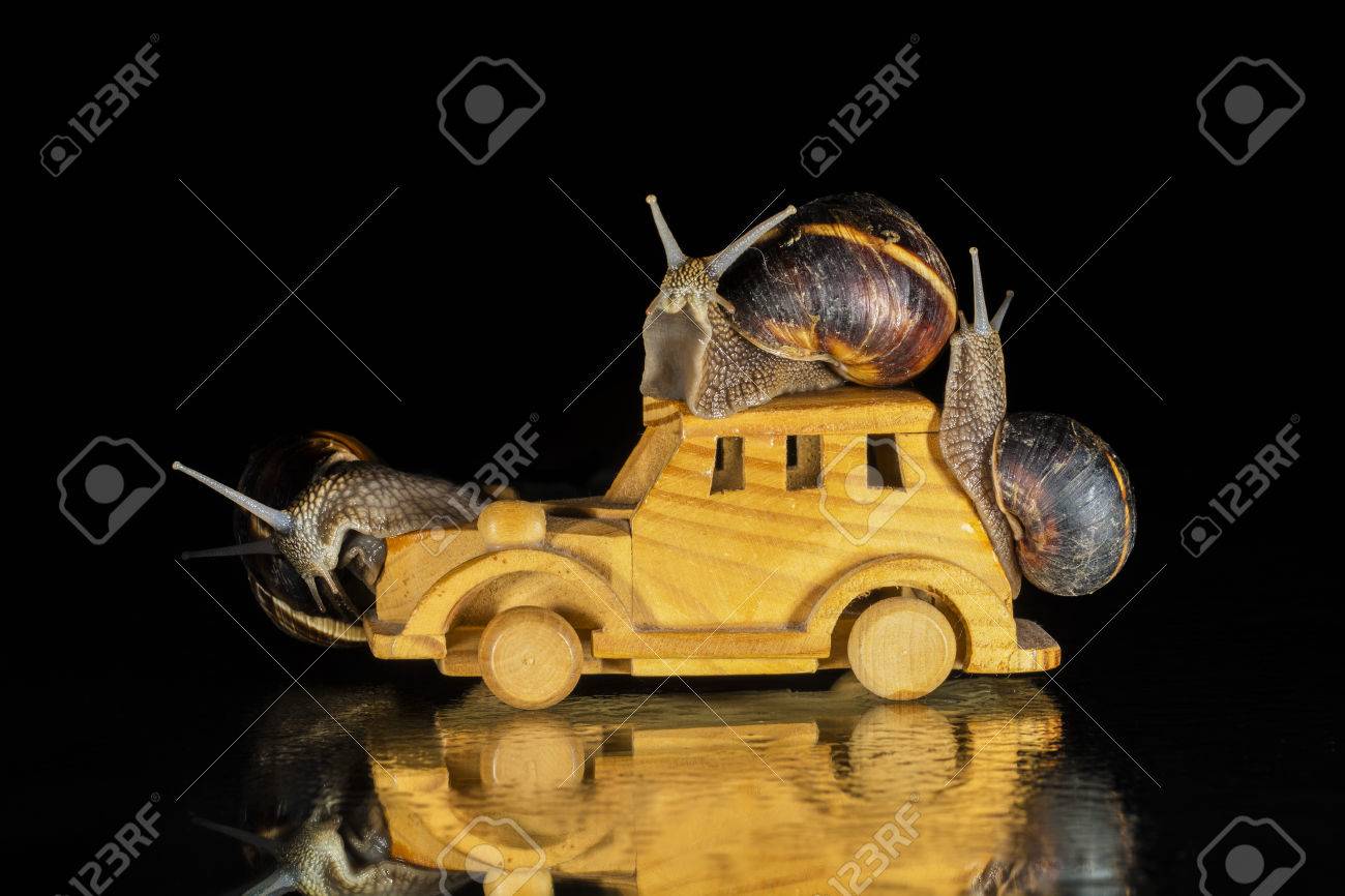カタツムリと黒い背景におもちゃの車 の写真素材 画像素材 Image