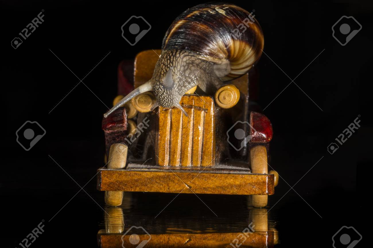 黒い背景に分離されたカタツムリとおもちゃの車 の写真素材 画像素材 Image