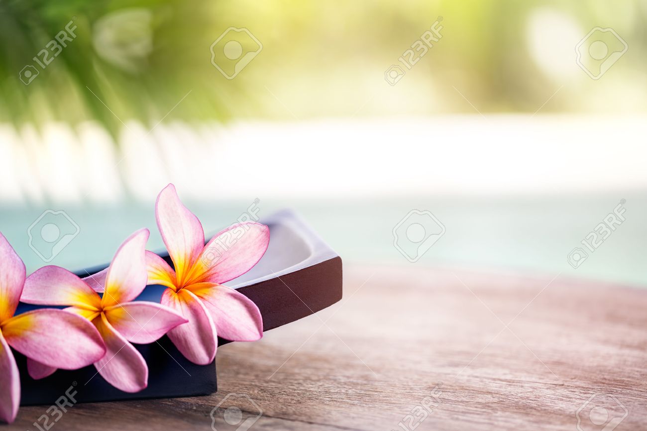 Hoa frangipani mang đến cho bạn sự tươi mới, thư giãn và thật sự thoải mái trong các trải nghiệm Spa. Hãy xem hình ảnh để cảm nhận sự rực rỡ và đầy sức sống của loài hoa này. 