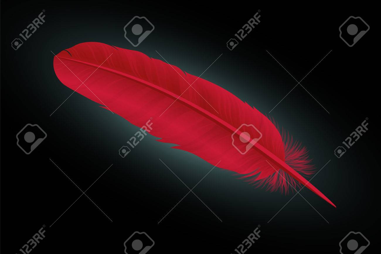 黒の背景に赤い羽根 ベクトルのイラスト素材 ベクタ Image
