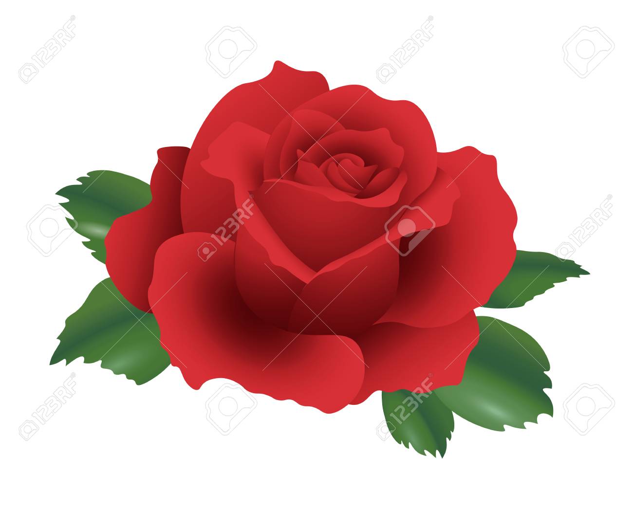 一輪の赤い薔薇の絵 一輪の赤いバラの花イラストのフリー素材｜イラストイメージ