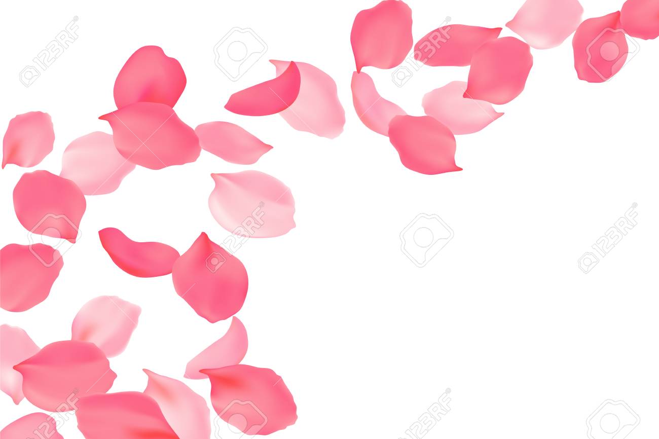 明るいピンクの花をバラの花びらに落ちる 桜空飛ぶ花 のイラスト素材 ベクタ Image