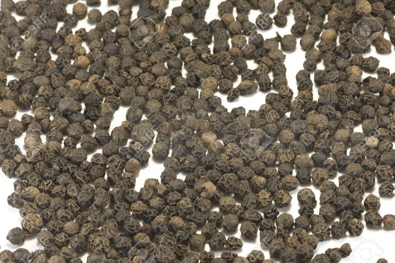 胡椒コショウはコショウ その果実は通常乾燥 スパイスとして使用のために栽培される科で花をつけるつる植物 南インドへのネイティブはそれを調味料 の写真素材 画像素材 Image