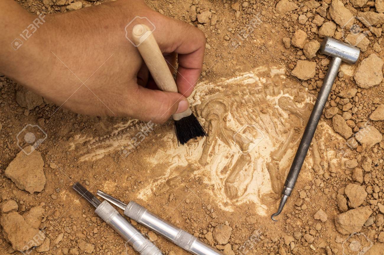 skeleton and archaeological tools