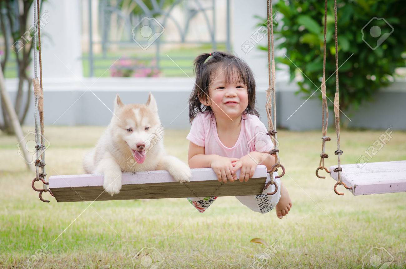 puppy swing