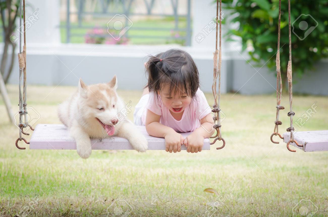 puppy swing