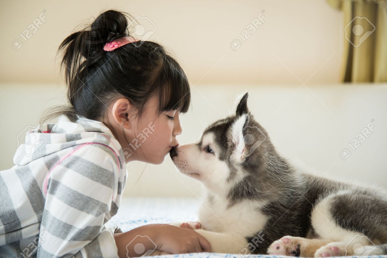 husky puppy girl