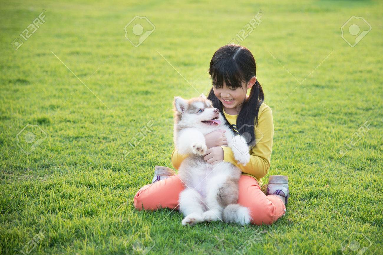 公園でのシベリアン ハスキー子犬と遊ぶ美しいアジアの少女 の写真素材 画像素材 Image