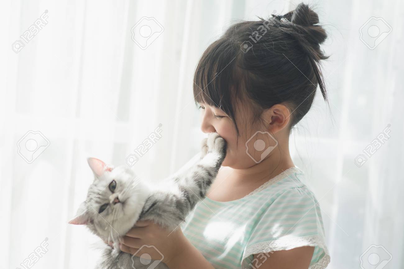 Beautiful Asian Girl Playing With American Shorthair Cat Under