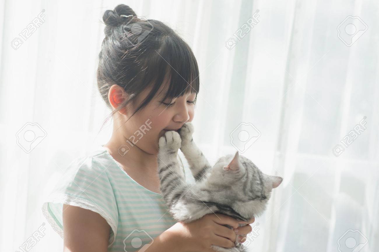 Beautiful Asian Girl Playing With American Shorthair Cat Under