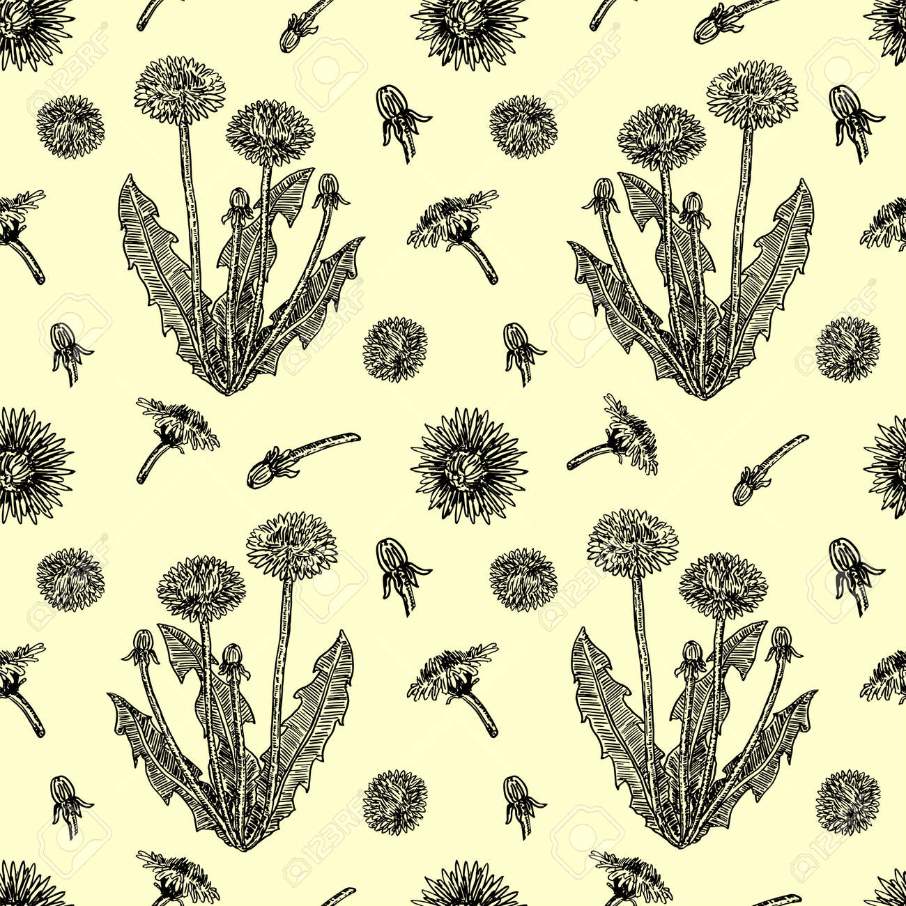 Graphic hand drawn dandelions. Cover page template with dandelions based on seamless pattern. Vector sketch seamless pattern. For wallpaper, pattern fills, web page background, surface textures - 169743685 Graphic hand drawn dandelions. Cover page template with dandelions based on seamless pattern. Vector sketch seamless pattern. For wallpaper, pattern fills, web page background, surface textures - 169743685