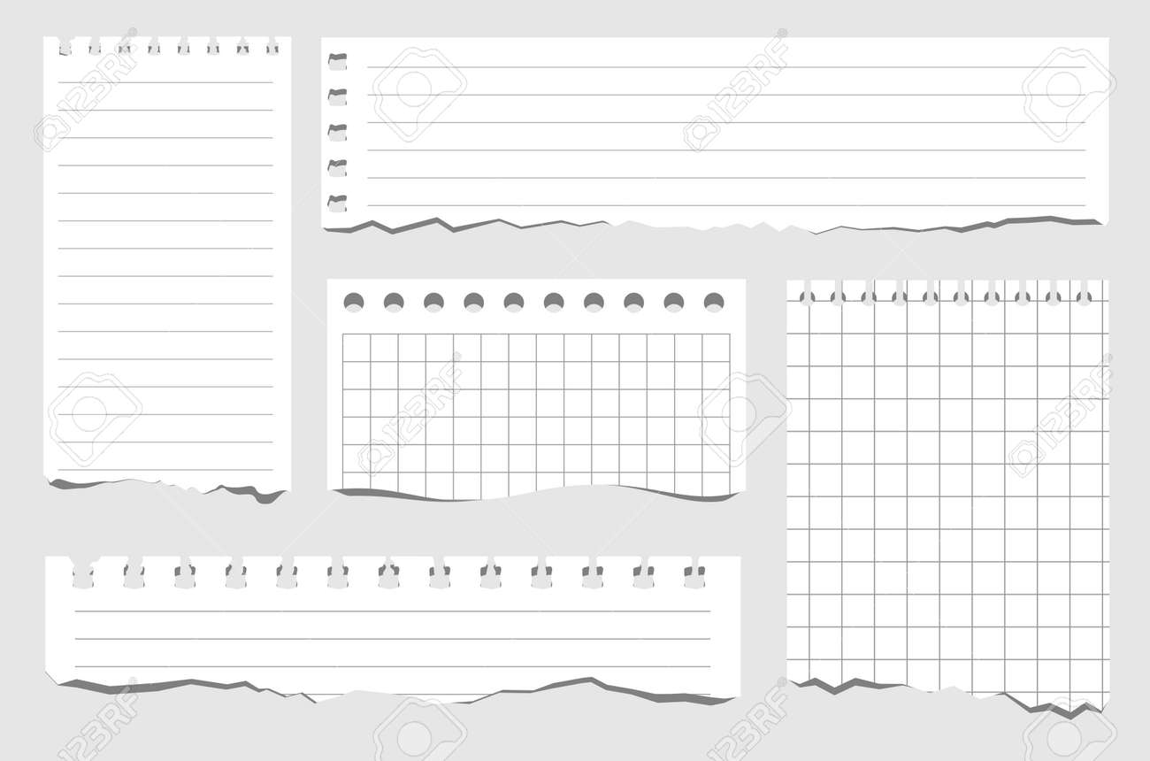 Set of pieces of paper of different types. Torn notebook papers. Blank gridded notebook ripped out papers. Vector illustration white paper sheets of square with cell horizontal line and perforation - 169743701 Set of pieces of paper of different types. Torn notebook papers. Blank gridded notebook ripped out papers. Vector illustration white paper sheets of square with cell horizontal line and perforation - 169743701