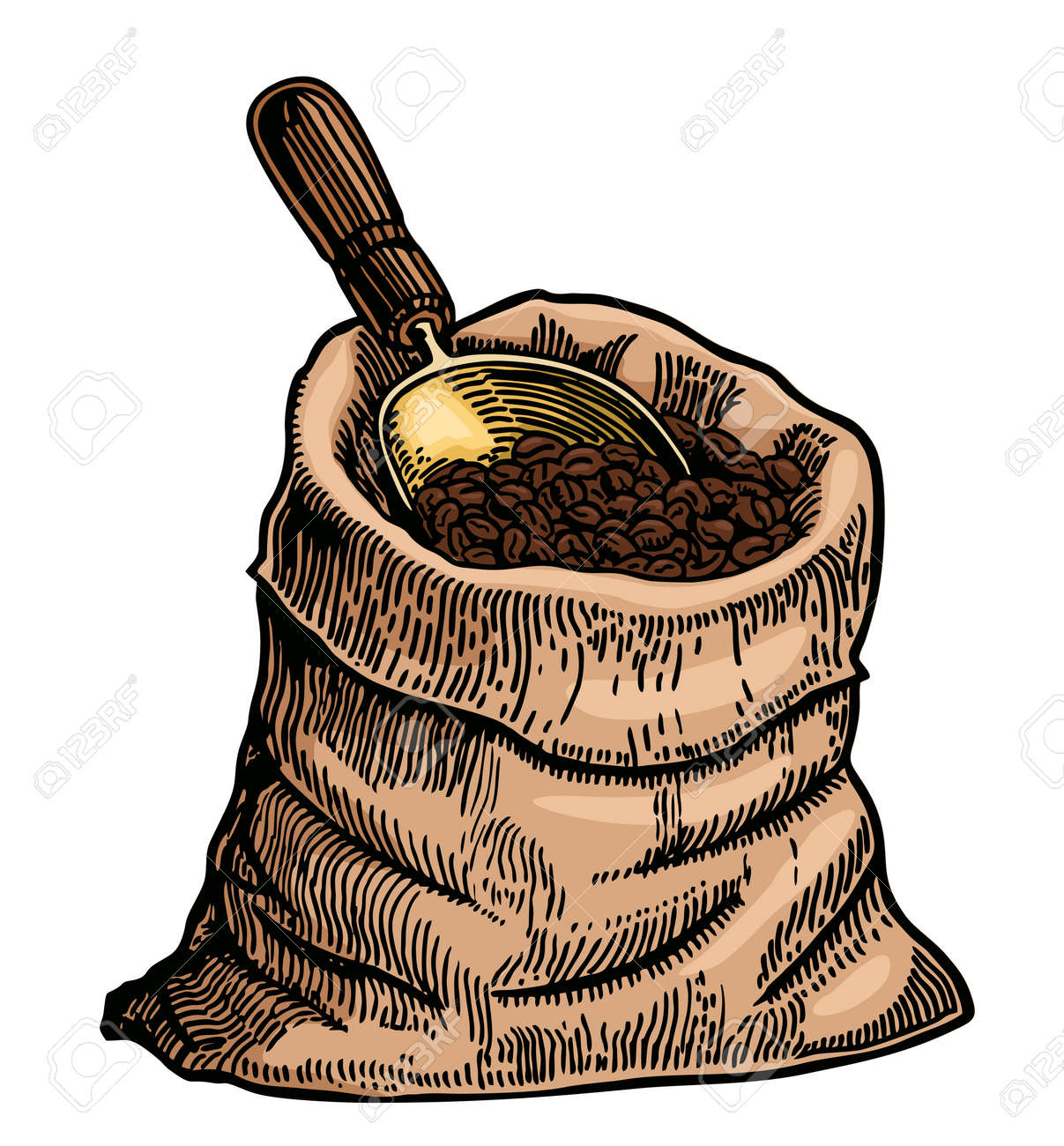 Coffee beans in a bag free hand color drawing vector image Sack of coffee beans with a scoop - 169743709 Coffee beans in a bag free hand color drawing vector image Sack of coffee beans with a scoop - 169743709