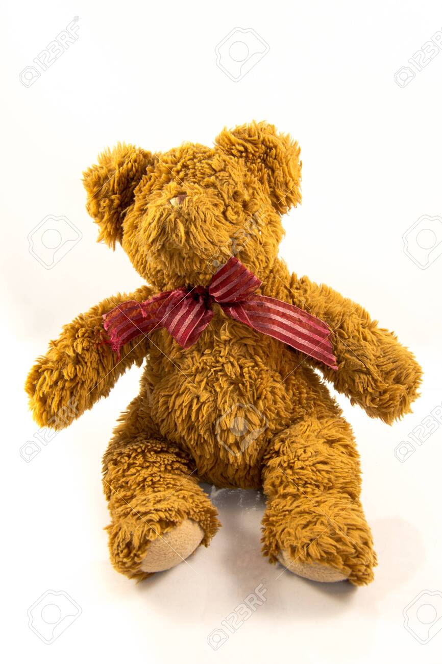 nice teddy bear photo