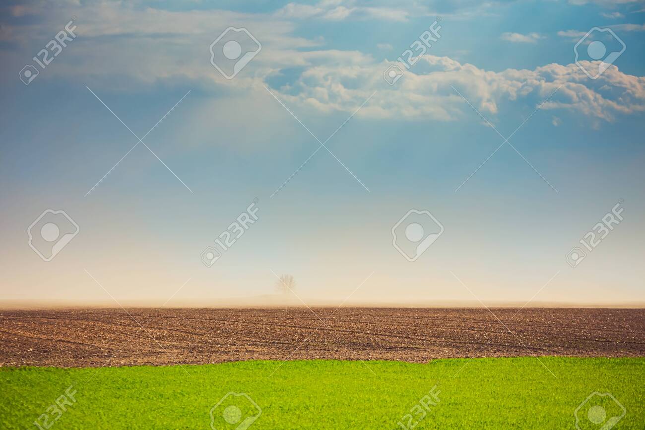 Dust storm in dry fields with strong wind, dry weather infuenced by climate change, spring weather - 145792935 Dust storm in dry fields with strong wind, dry weather infuenced by climate change, spring weather - 145792935