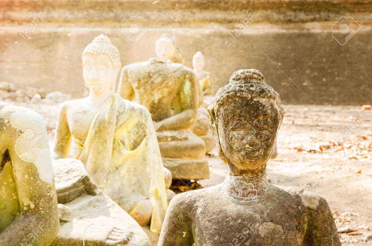 etiam-dictum-ipsum-a-felis