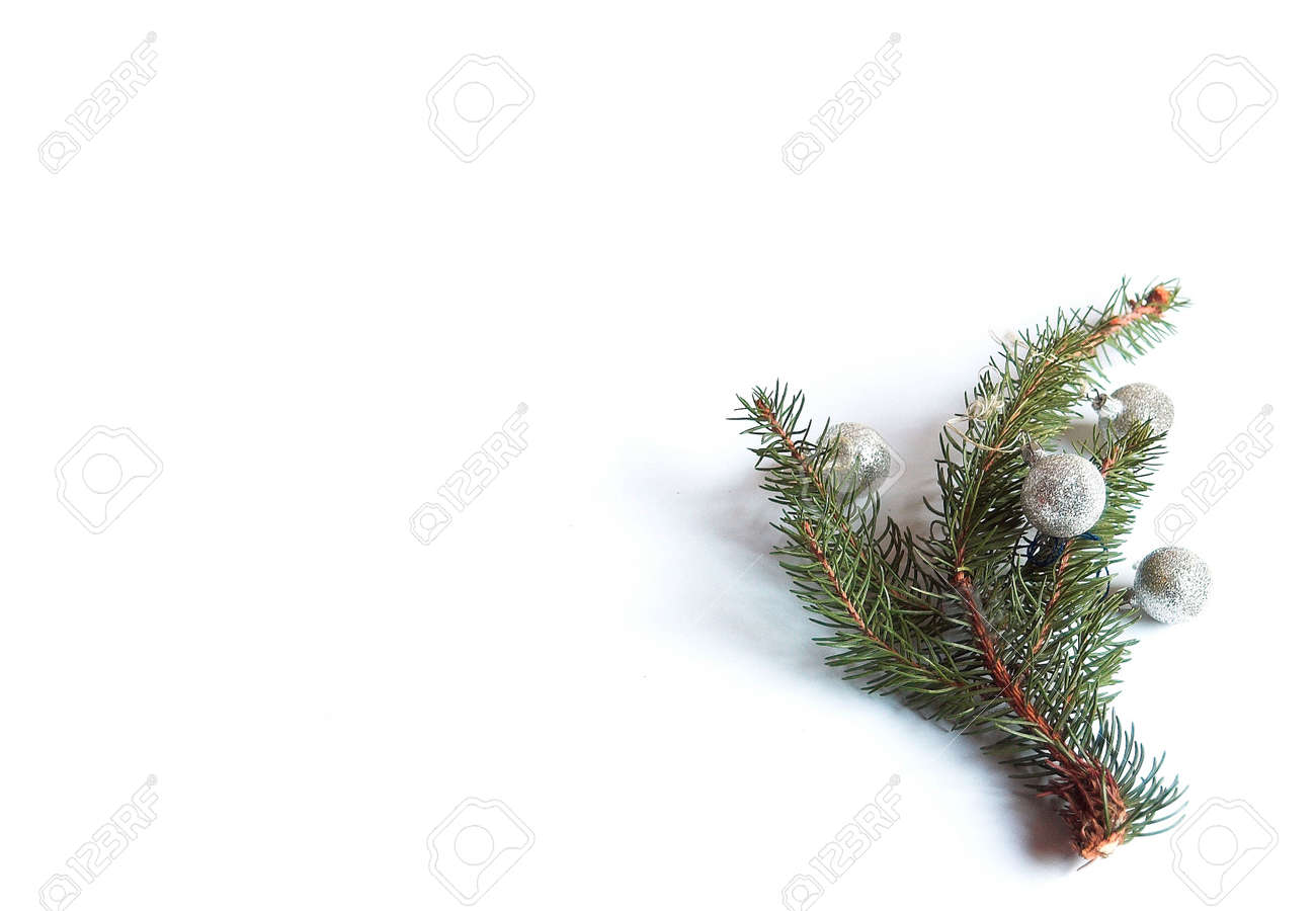 Albero Di Natale Yule.Immagini Stock Natale Albero Di Natale Decorazione Corpus Verde Vacanze Nativita Ago Spray Rametto La Nativita Ramoscello Inverno Xmas Yule Su Bianco Image 658087