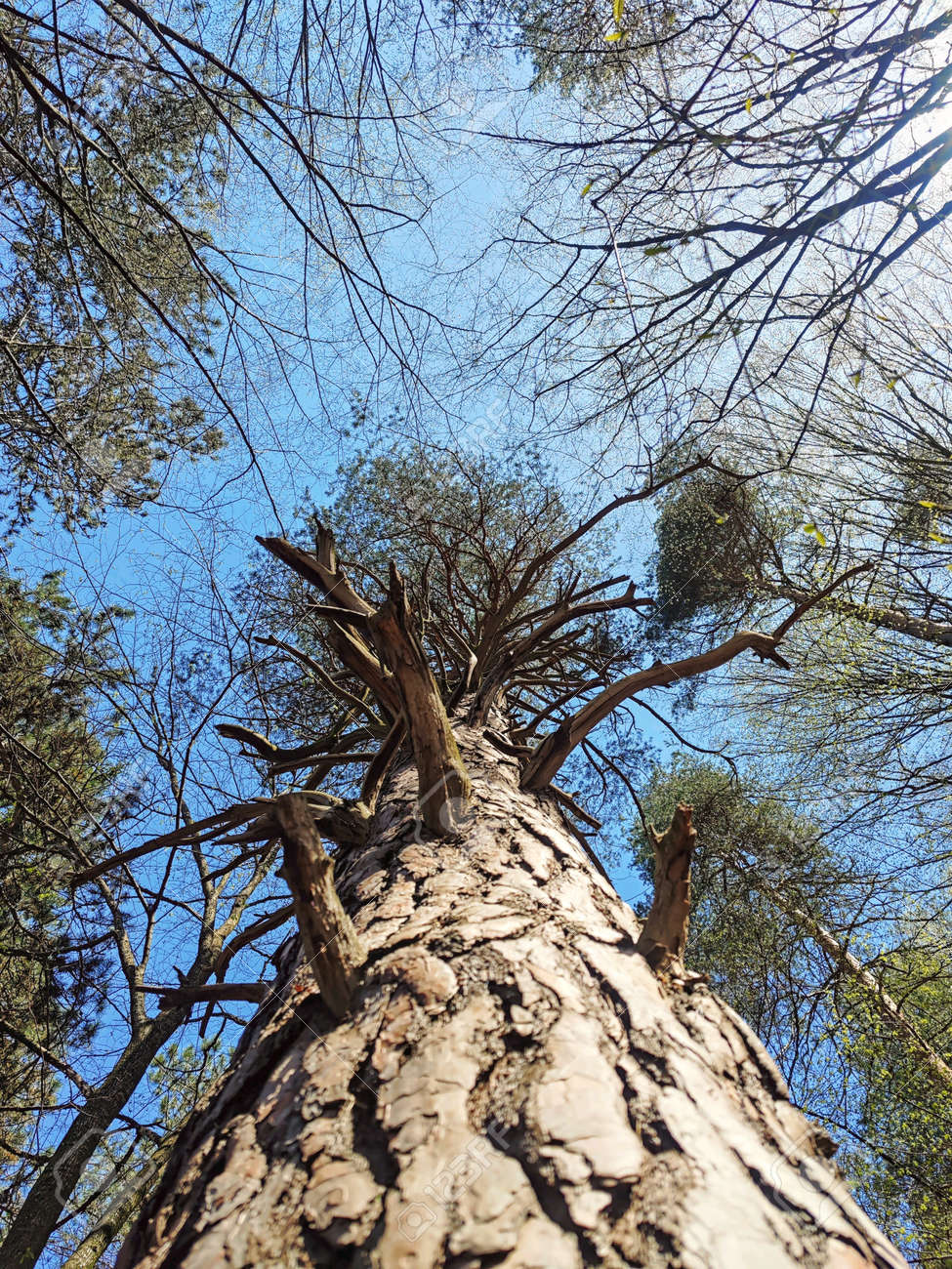 etiam-dictum-ipsum-a-felis