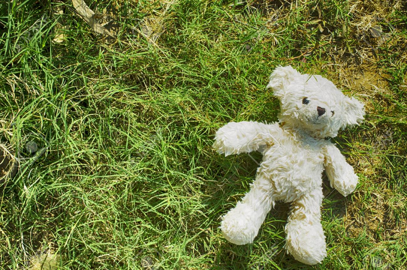 green teddy