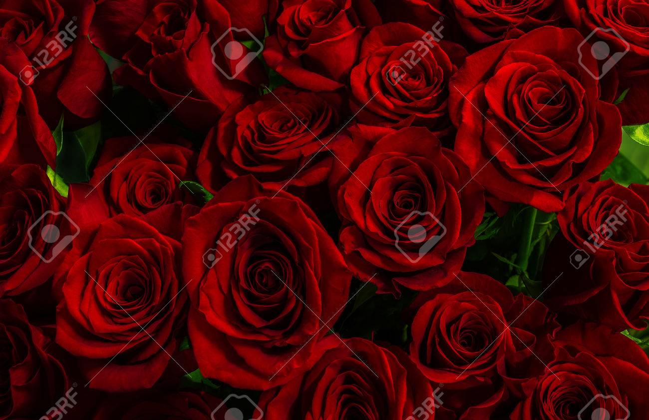 自然赤いバラ背景 の写真素材 画像素材 Image