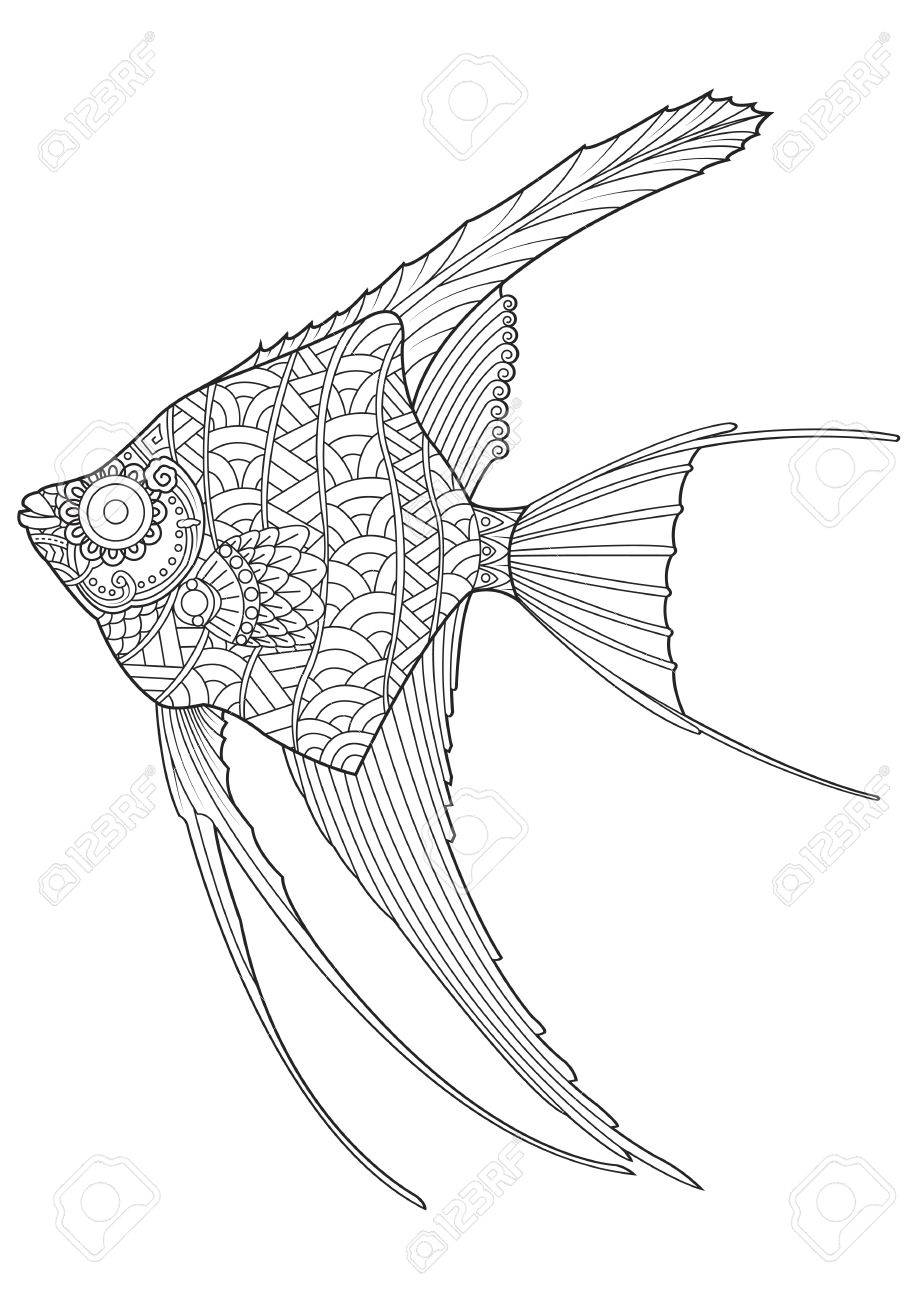 Angel Fish Coloring Page Stock Vector Angel Fish Coloring Page Stock Vector