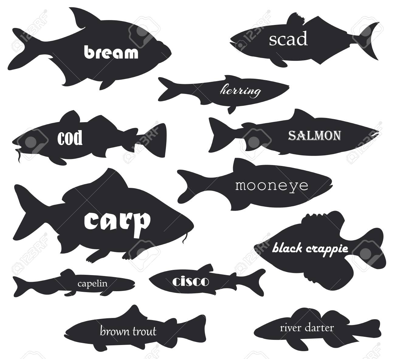 書道の名前を持つ市販の魚ベクトルシルエット ウェブデザインのシルエット魚川と海のイラスト の写真素材 画像素材 Image