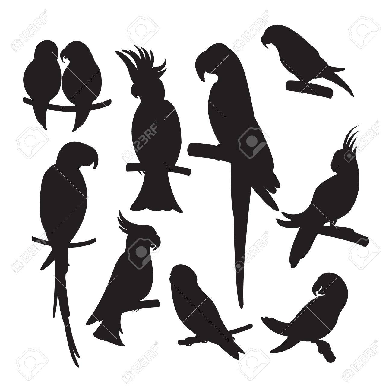 Cartoon parrots set and parrots wild animal birds. Tropical parrots feather zoo birds, tropical fauna macaw flying ara. Various cartoon exotic birds set with parrots vector illustration. - 62781426 Cartoon parrots set and parrots wild animal birds. Tropical parrots feather zoo birds, tropical fauna macaw flying ara. Various cartoon exotic birds set with parrots vector illustration. - 62781426