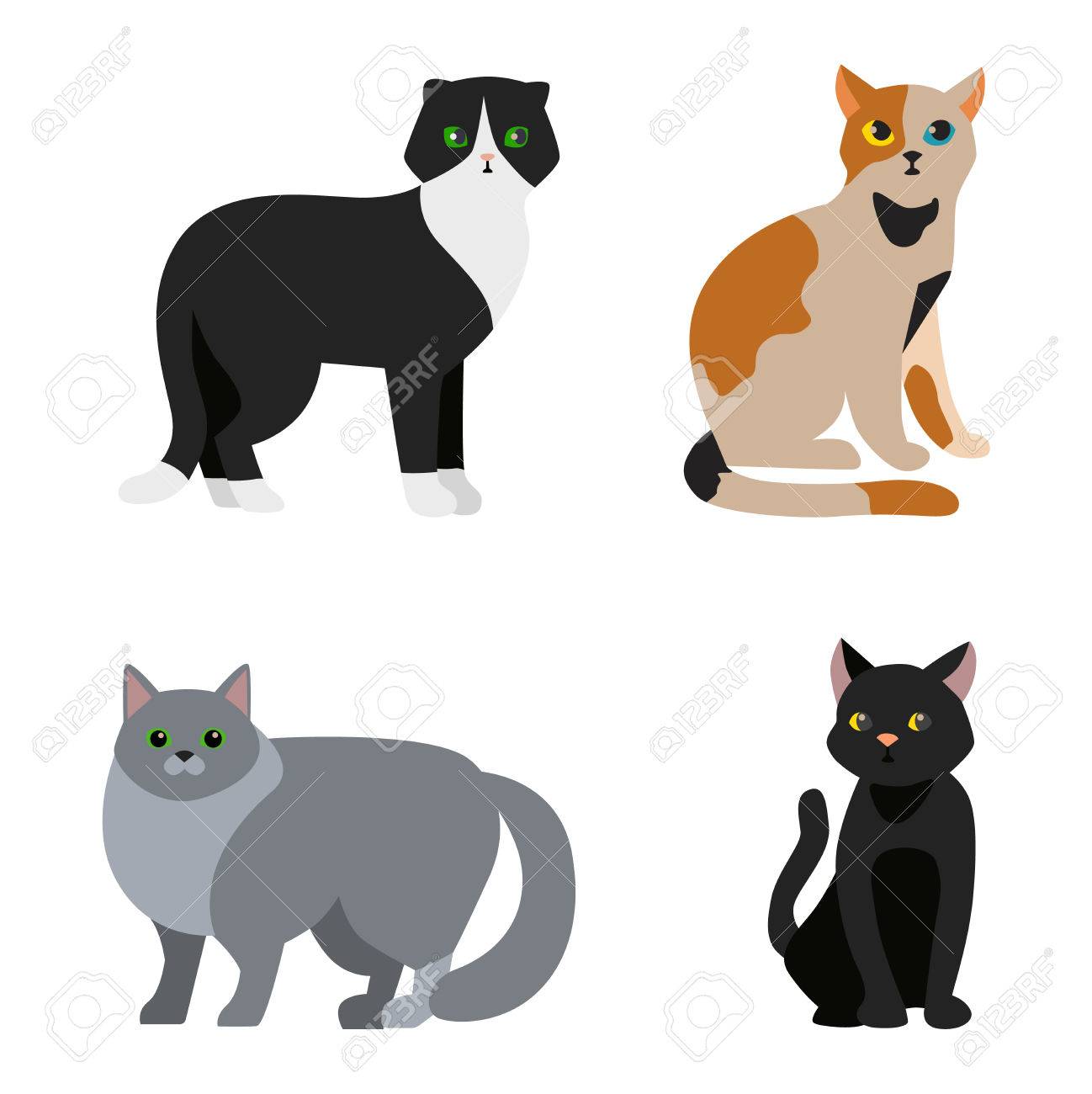 猫の品種のかわいいペットの動物は ベクトル図を設定します 猫は 動物と漫画の別の猫を繁殖させます 哺乳類文字の人間の友人猫繁殖動物アイコン 文字の猫 の肖像画友達猫 のイラスト素材 ベクタ Image 62781579