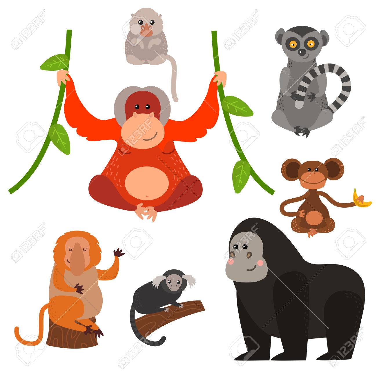 サル珍しい動物のベクトルの種類を設定します のイラスト素材 ベクタ Image