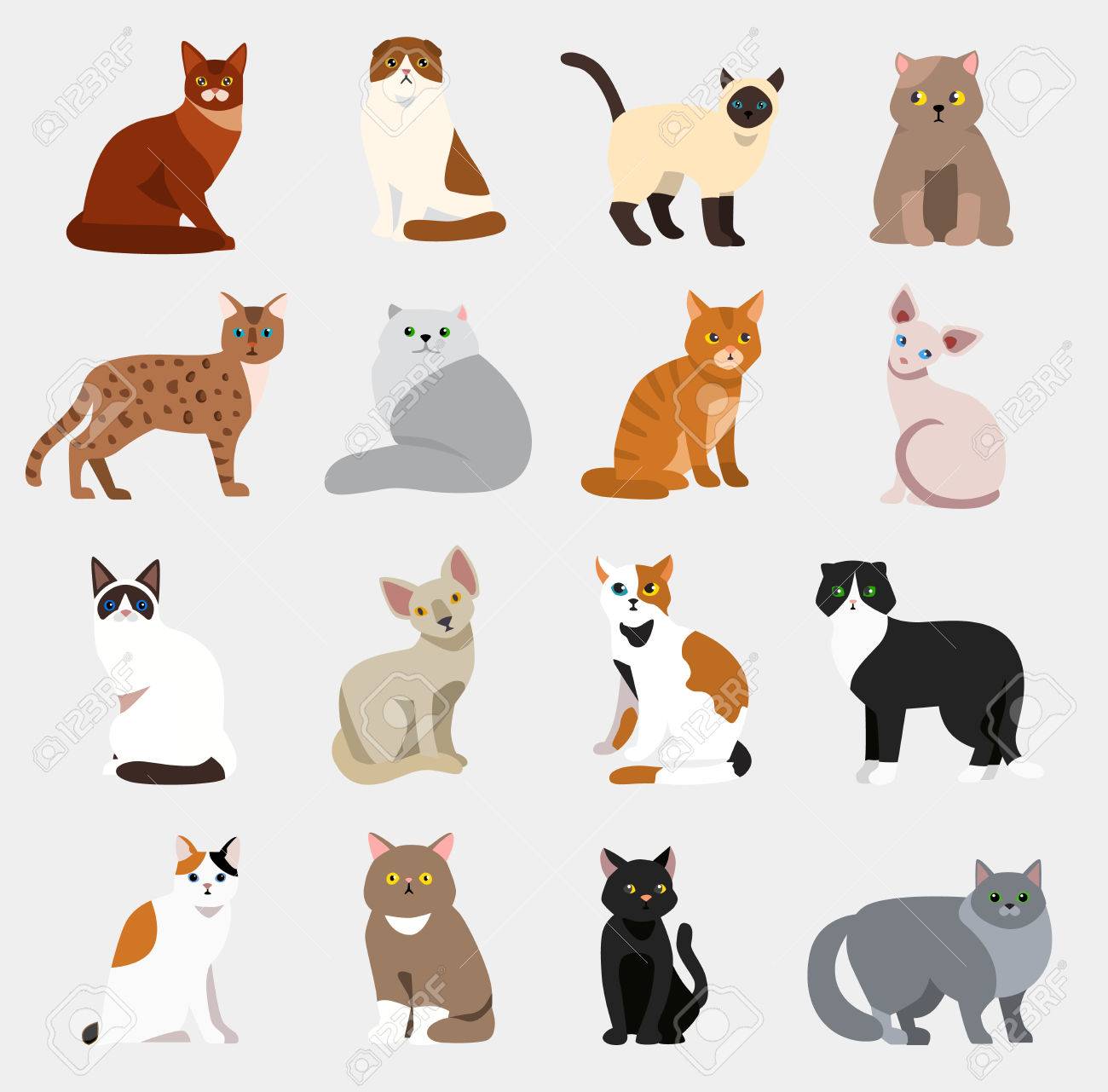 Cat breeds cute pet animal set vector illustration animals icons cartoon different cats - 83176439 Cat breeds cute pet animal set vector illustration animals icons cartoon different cats - 83176439