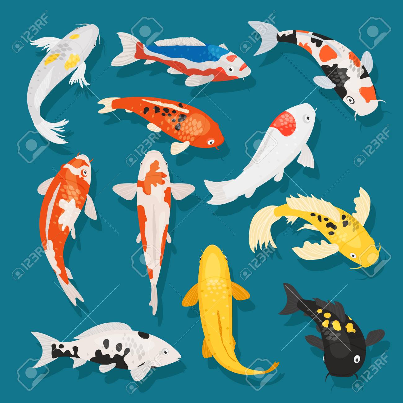 Japanese fish vector illustration carp and colorful oriental koi in Asia set of Chinese goldfish and traditional fishery isolated background - 98753308 Japanese fish vector illustration carp and colorful oriental koi in Asia set of Chinese goldfish and traditional fishery isolated background - 98753308