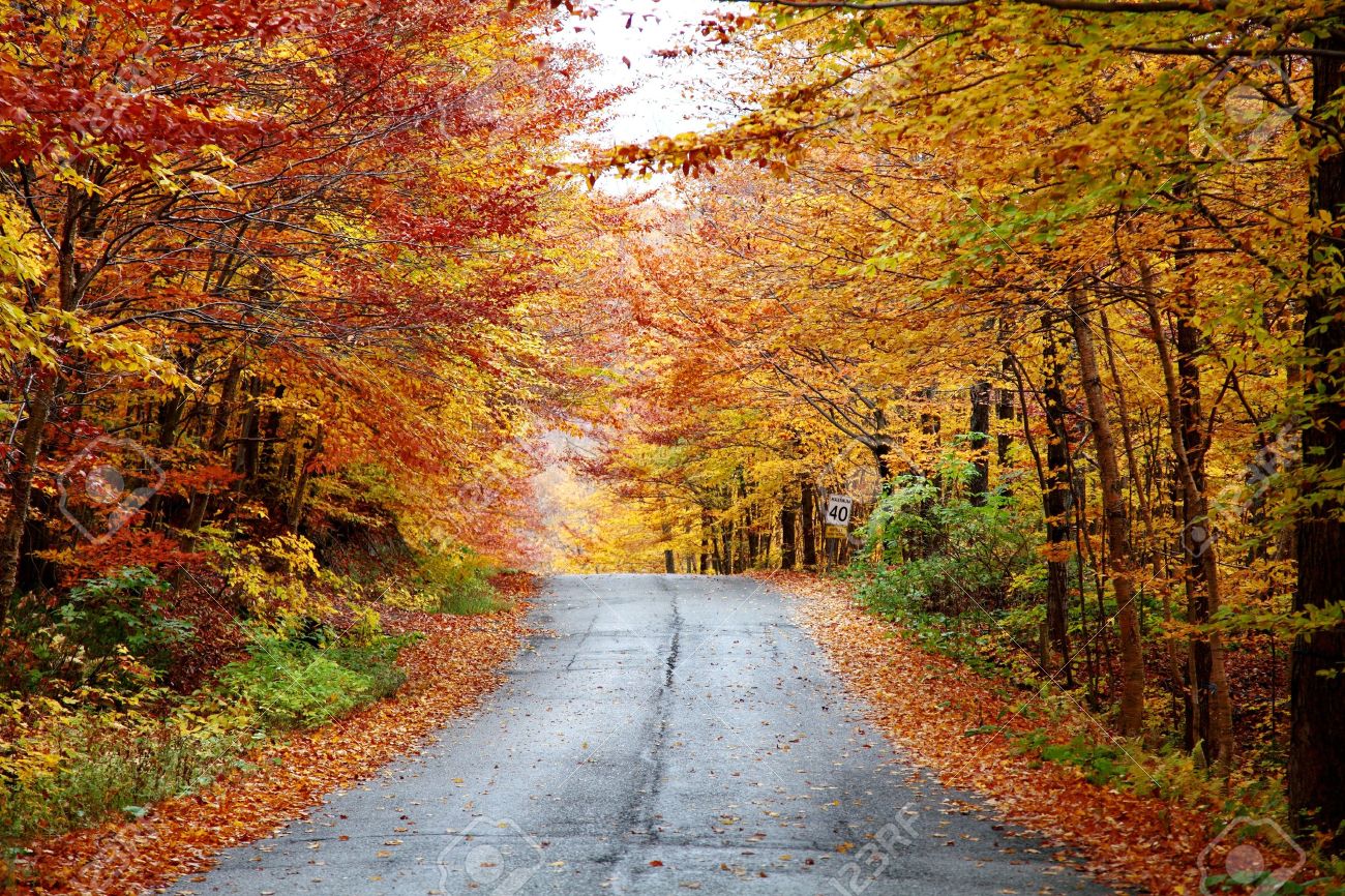 Rainy autumn afternoon on a country road located in Quebec, Canada. - 11963496 Rainy autumn afternoon on a country road located in Quebec, Canada. - 11963496