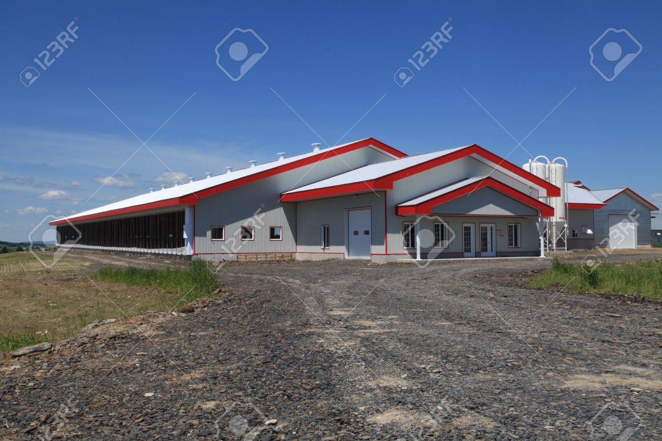 Newly Constructed Modern Dairy Barn Located In Quebec