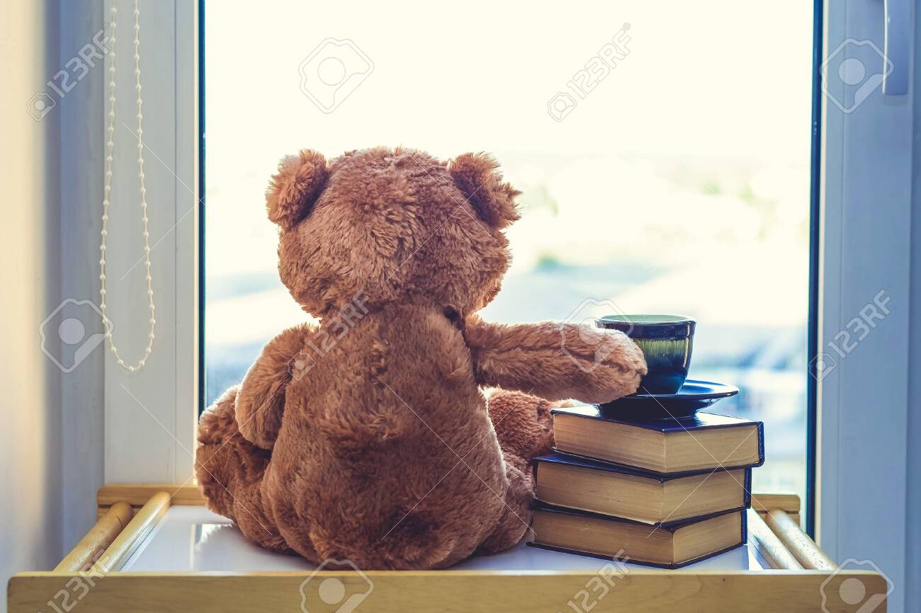 Sweet Teddy bear looking in windiws with cup of coffee or tea on stack of books.. At a morning sun light. Good morning concept. Romantic gift. back view. - 137314847 Sweet Teddy bear looking in windiws with cup of coffee or tea on stack of books.. At a morning sun light. Good morning concept. Romantic gift. back view. - 137314847
