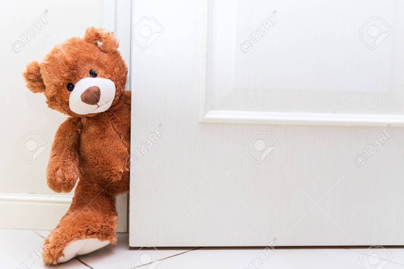 teddy bear with hair