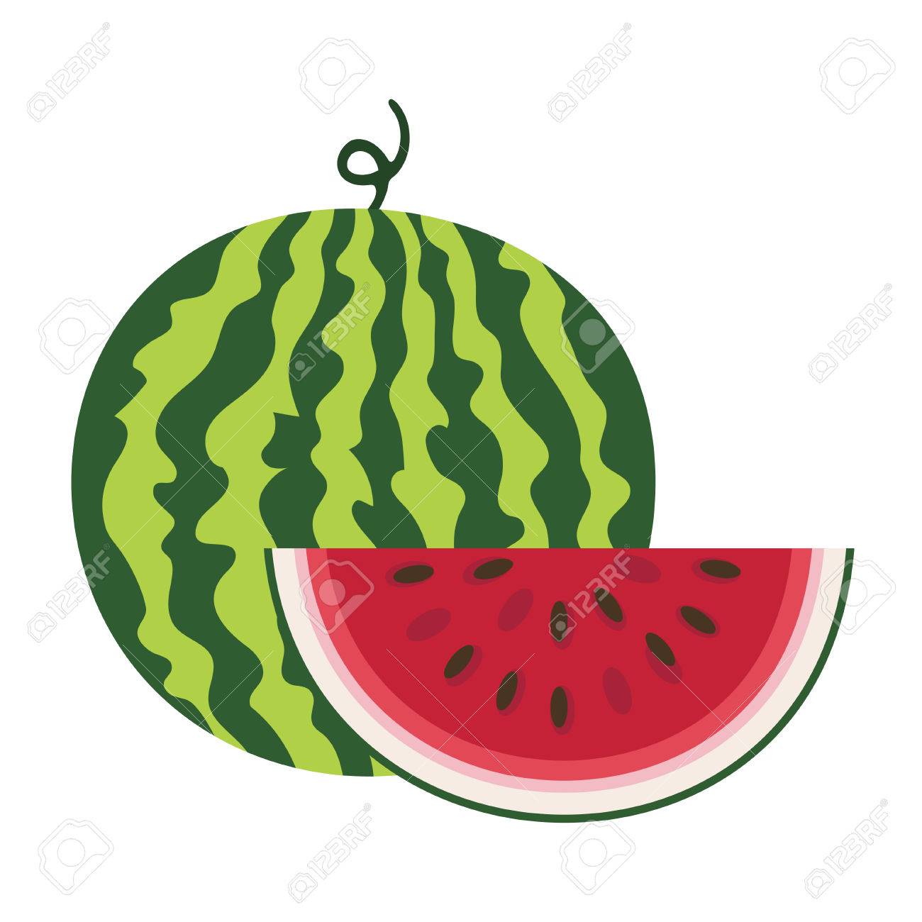新鮮な熟したスイカのベクター イラストです スイカのベクトル図です 夏のコンセプトです スイカが分離されました 白い背景の上のスイカとスイカ のスライスの組成物 のイラスト素材 ベクタ Image