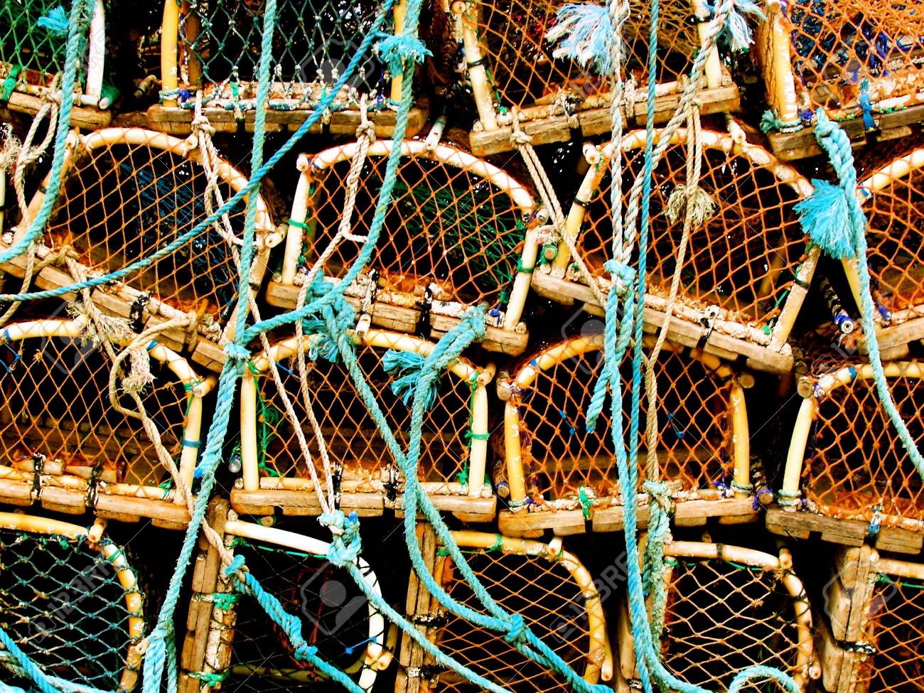 etiam-dictum-ipsum-a-felis