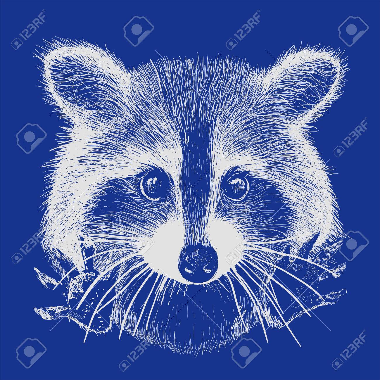 かわいいタヌキ ベクトル要求を抱きしめるし 寄り添うのイラスト素材 ベクタ Image