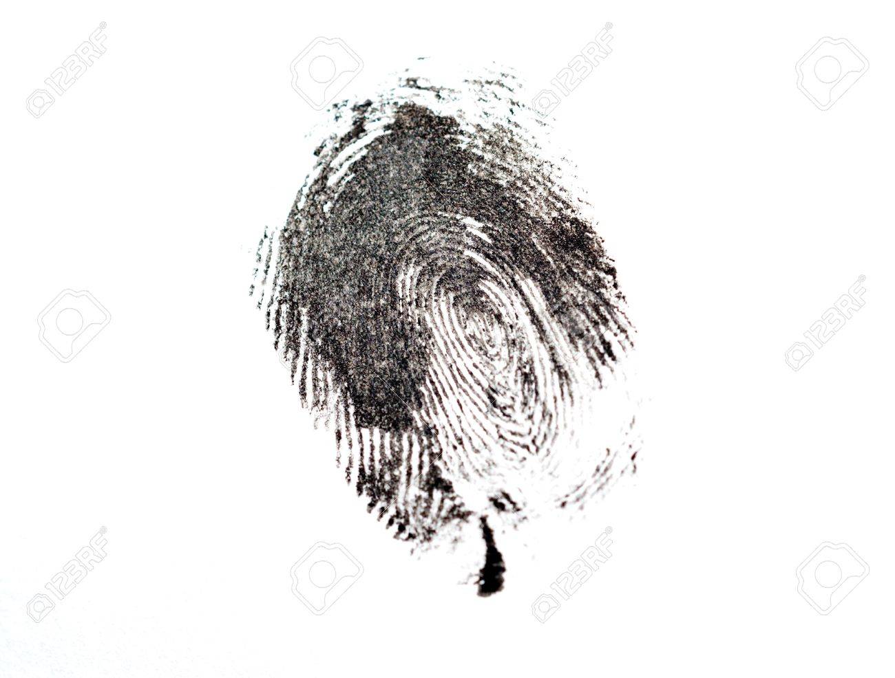 detail of black fingerprint isolated on white - 6019616 detail of black fingerprint isolated on white - 6019616