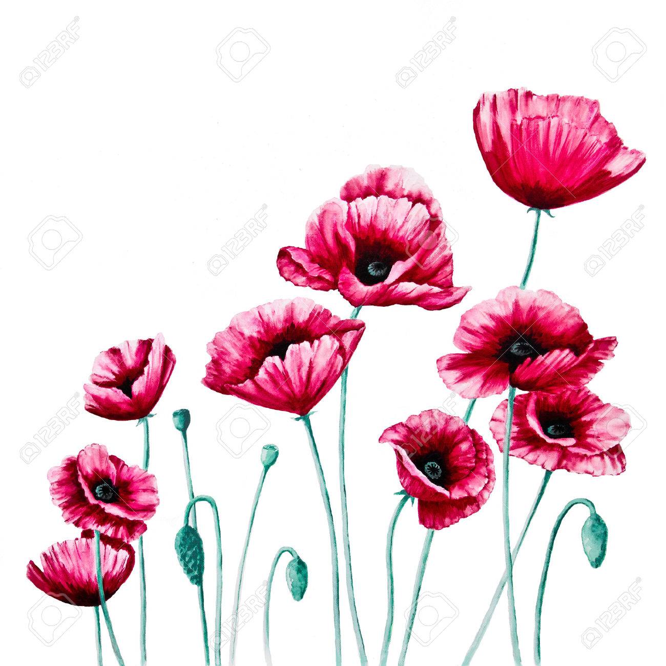 赤いポピー 二連祭壇画の右側のパネルとしてキャンバスにアクリル画で白い背景に反対しています の写真素材 画像素材 Image