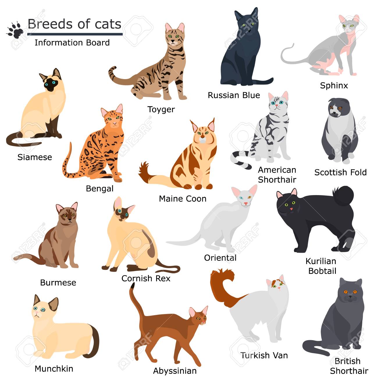 25 cats flat icon pack Royalty Free Vector Image